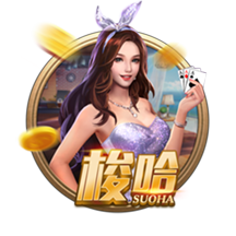 迪林厄姆：华子会鼓励我们年轻人 他真心希望看到我们发光发热